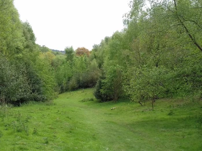 20170430132254 woodhouse hill new woodland