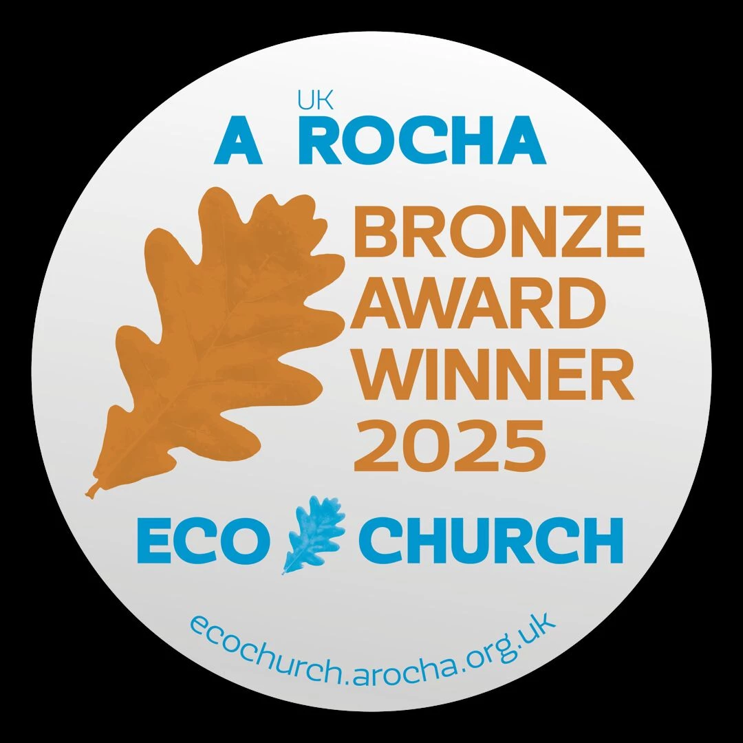 2025ecbronzeenglish buc