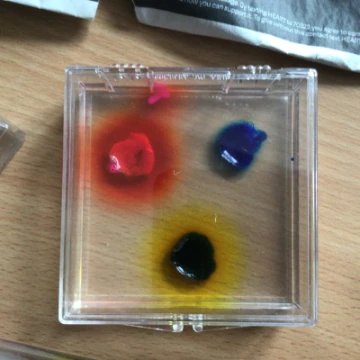 2b4a39ff557f4fa0b6fef346c2ecc1fc