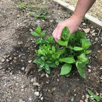 3646478726038879163032873517389705014411264n