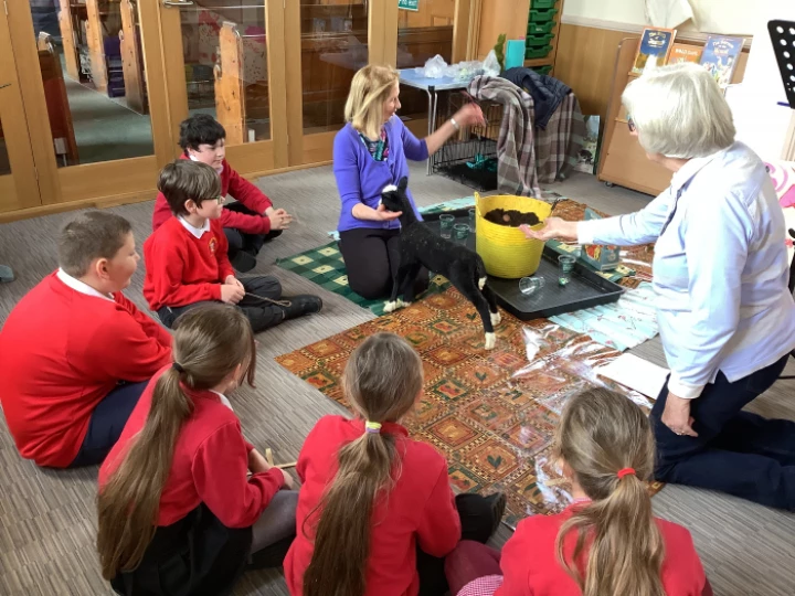 7b51404660b84cc7a20c2be8394296bb