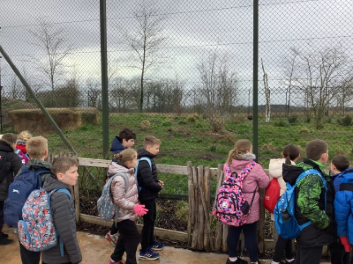 87cb1bca35d34cf699914332e4a0025d