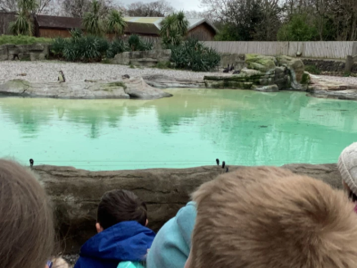 9ecfb0ffa6524e488ecf010f848b3221