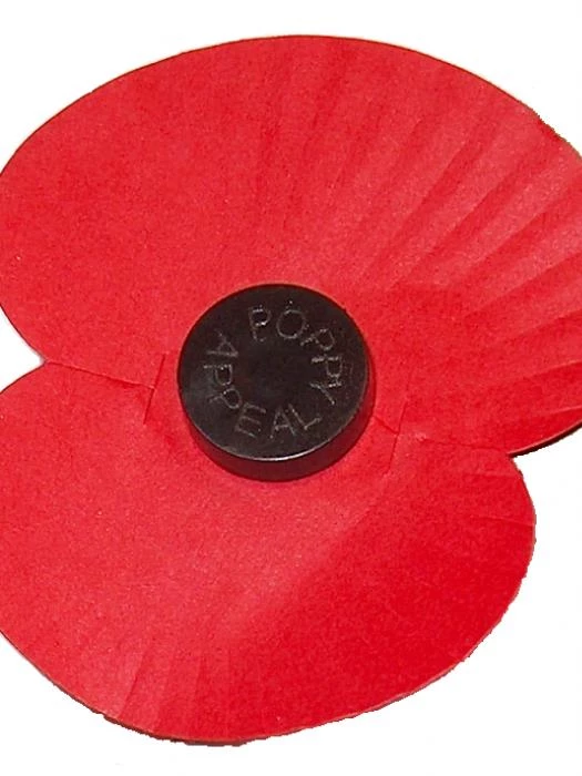 a poppy
