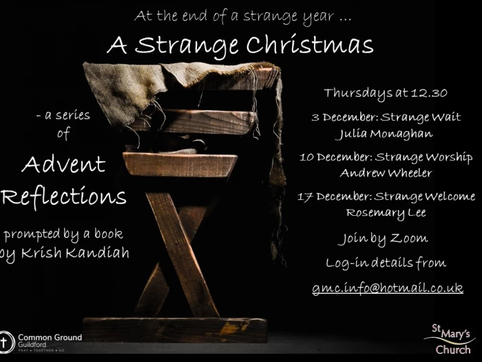 a strange year poster 2020 004