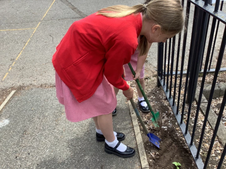 a5b7404650334af59a06daca7f244c1e