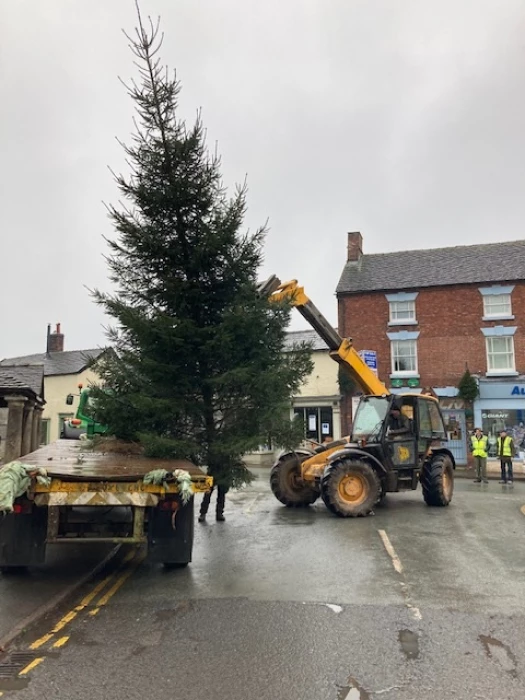adas 1 tree arrives