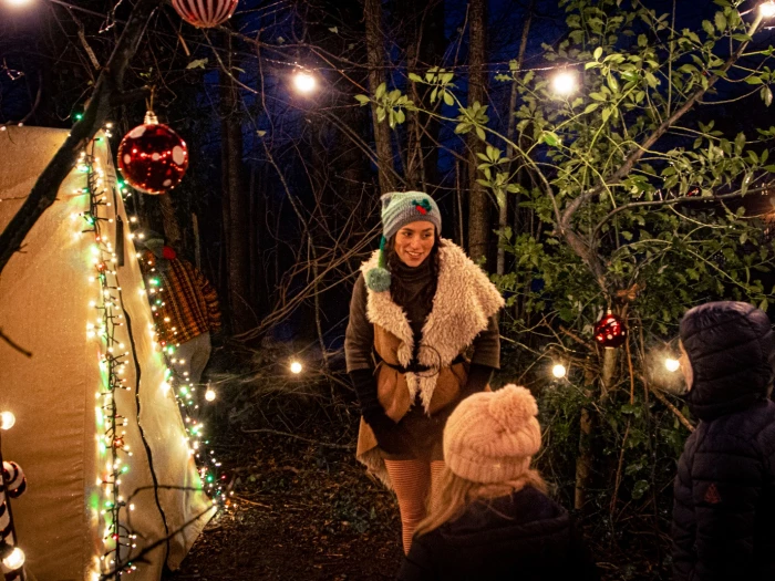 alderford santa 1