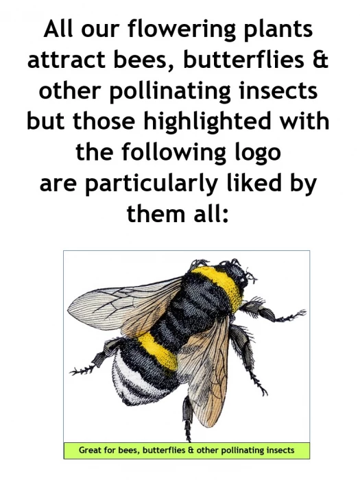 all of our plantsbees