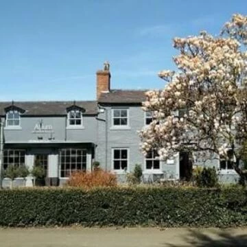 alliumbymarkellistattenhall150620171029480080