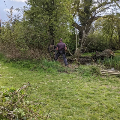 allotment 3