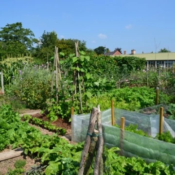 allotment1