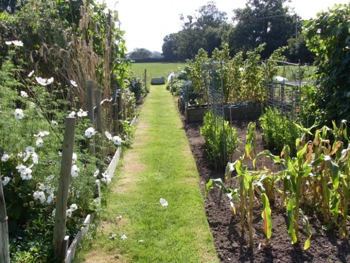 allotment2