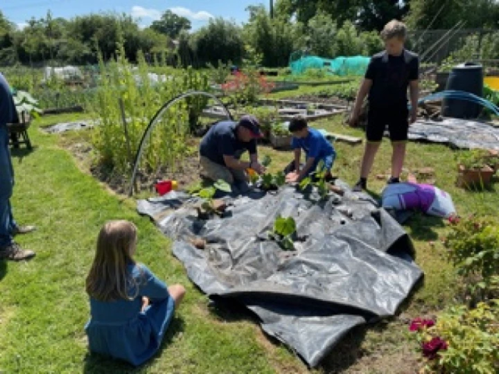 allotment4