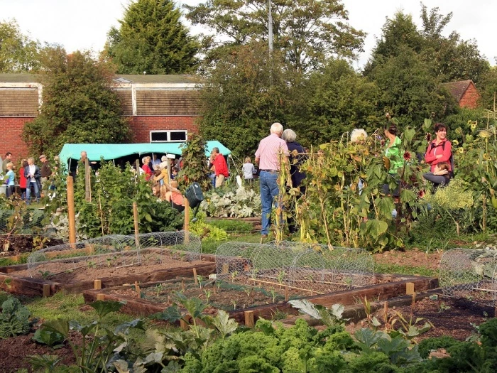 allotments  1