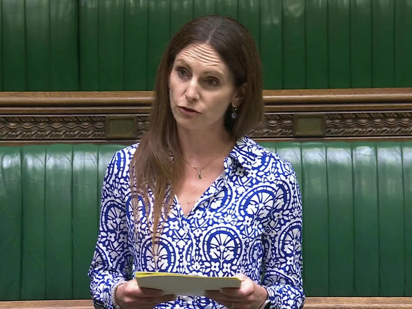 aphra brandreth debating mp