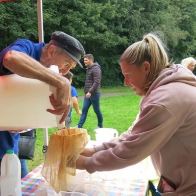 apple pressing  straining the juice