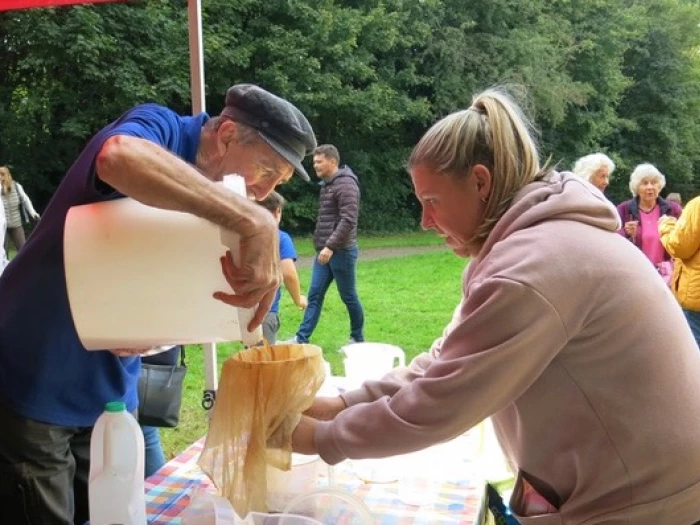 apple pressing  straining the juice