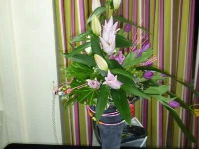 ashton hayes  tarvin flower club march 2017 p1030205