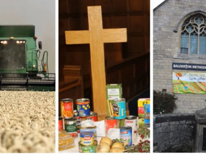 balderton  harvest