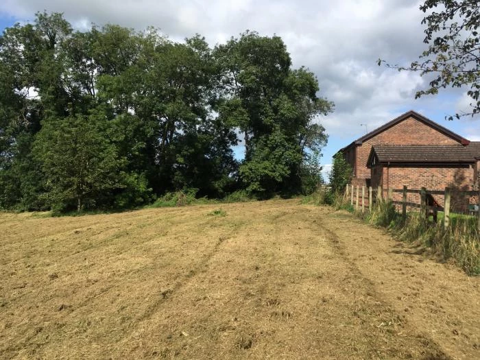 barn field update