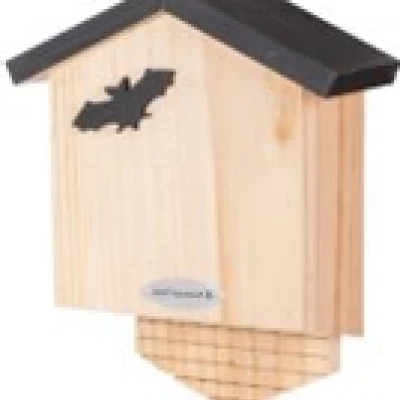 bat box 1