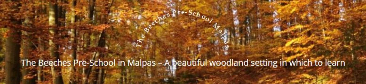 beeches preschool