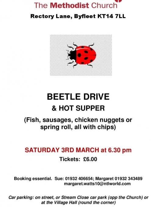 beetle drive poster