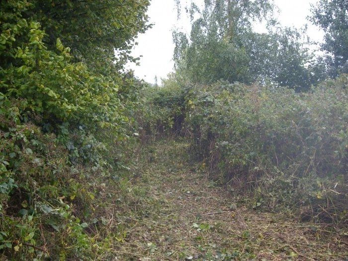 behind tarvin mill 2