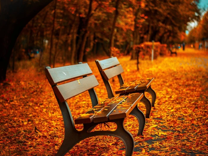 benches autumn park
