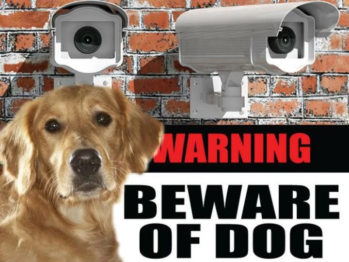 bewareofdogsign