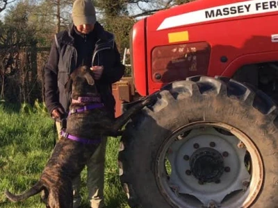billy and roxie tractor 2 feet on