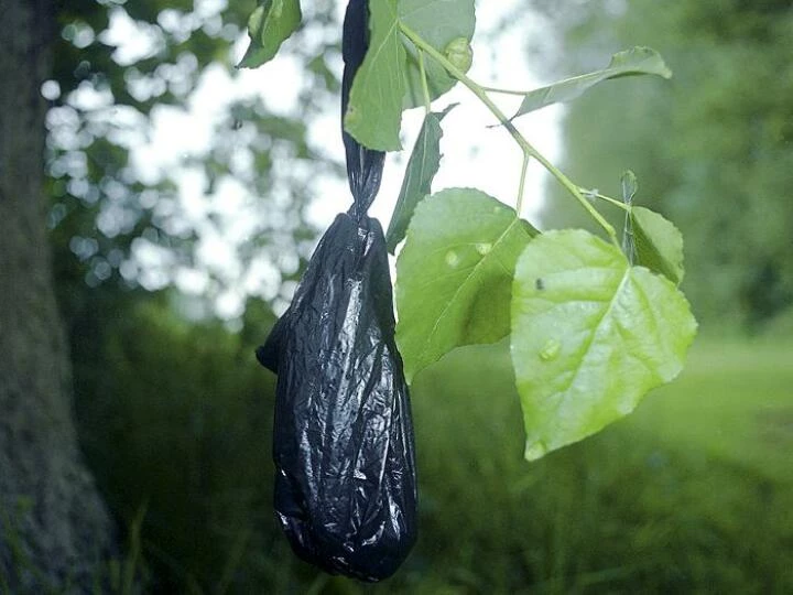 blackbaghanging