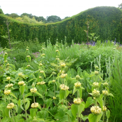 bluebell cottage 2