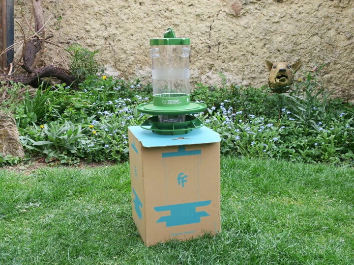 Finch1