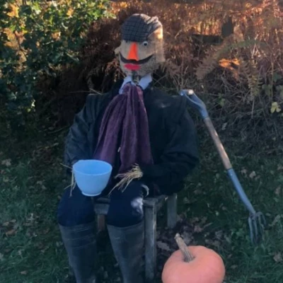 Scarecrow 7