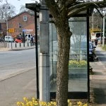 Bus stop daffodils