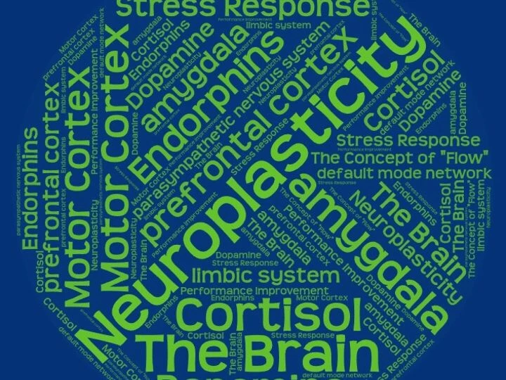 Neuroscience