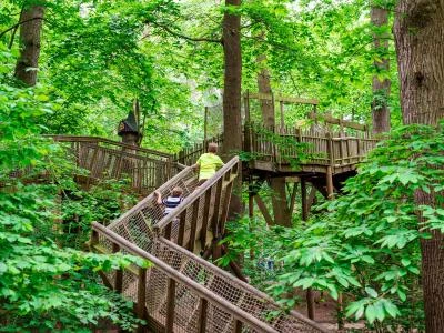 BeWILDerwood Cheshire Trail