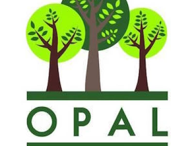 opal full logo