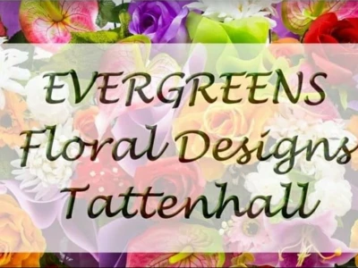 Evergreens1