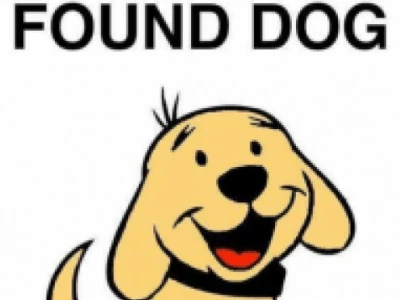 dogfoundsmall1