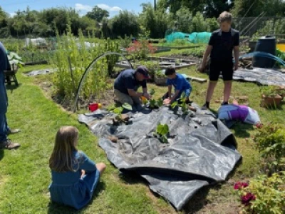 Allotment4