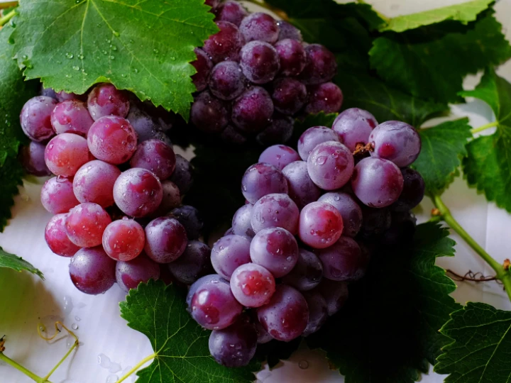 Grape Fruits