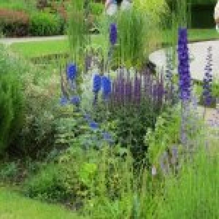 Ness Gardens jpg14