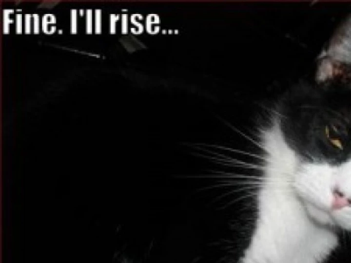 rise-and-shine