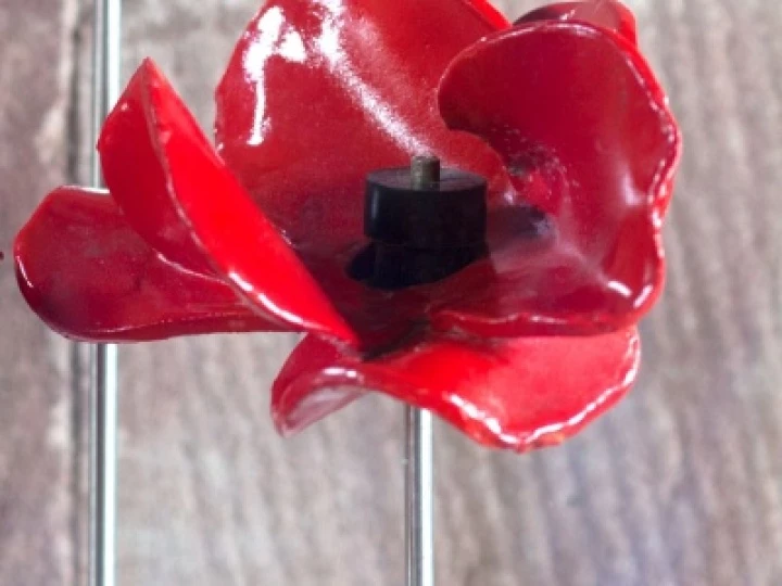 TowerPoppies