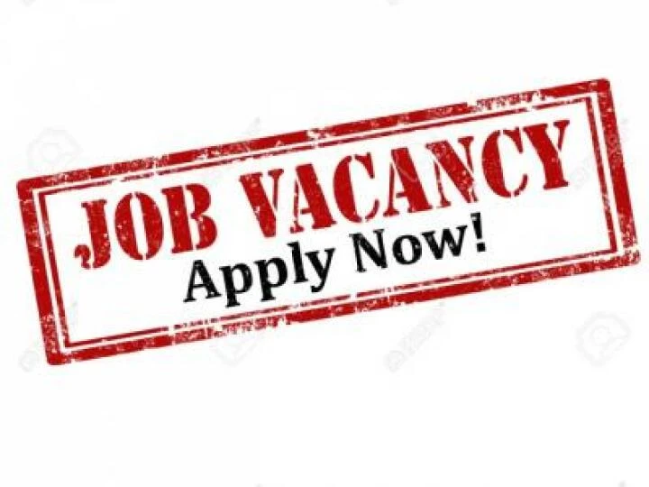 job-vacancy-M209683