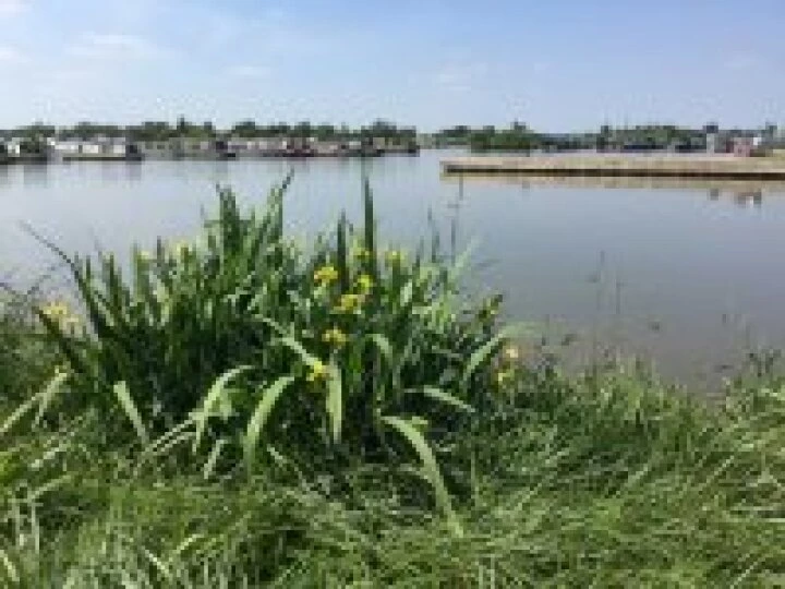 A lovely day at Overwater – June 2015