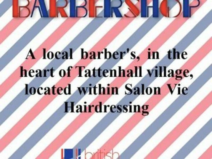 SalonVie Barber Shop Poster 2020